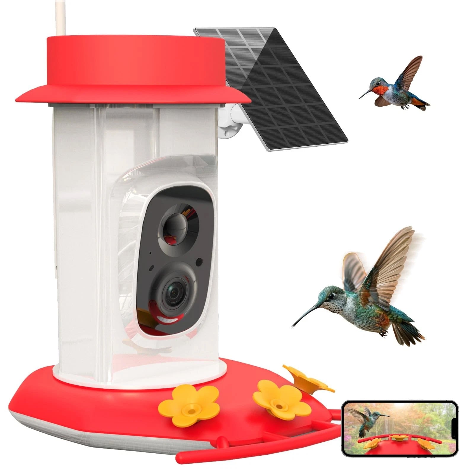 BirdalEat