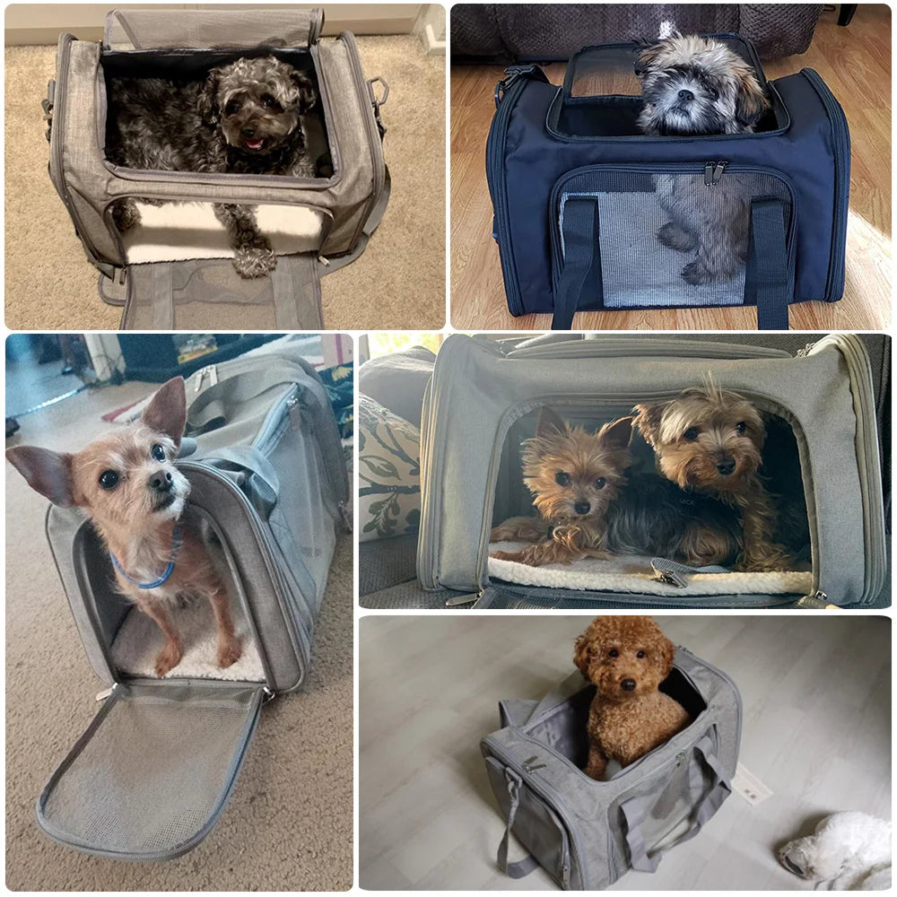 AirPooffy