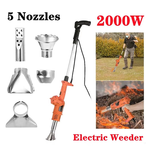 EradiWit