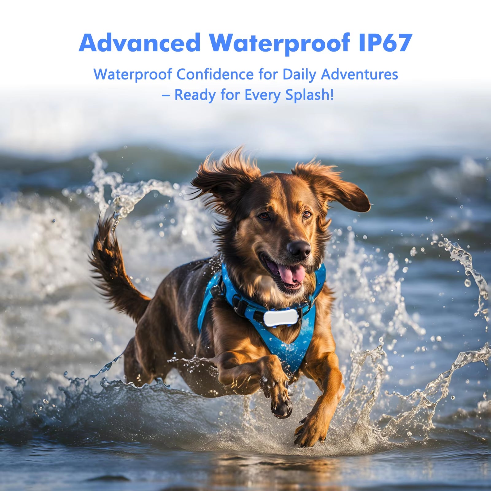 PupPinpoint 2.0 - 1