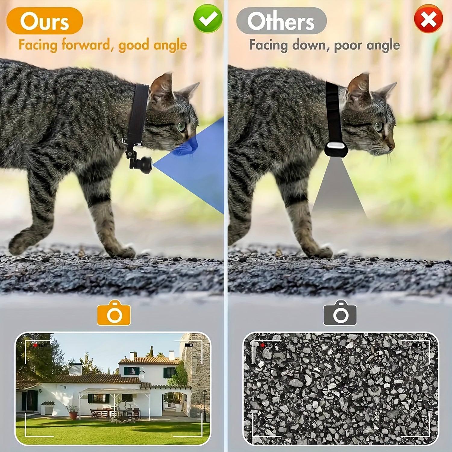 MeowyCam