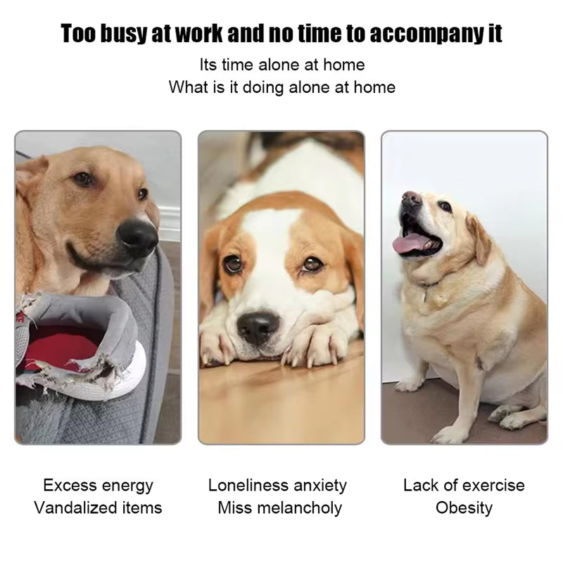 PuppiLob