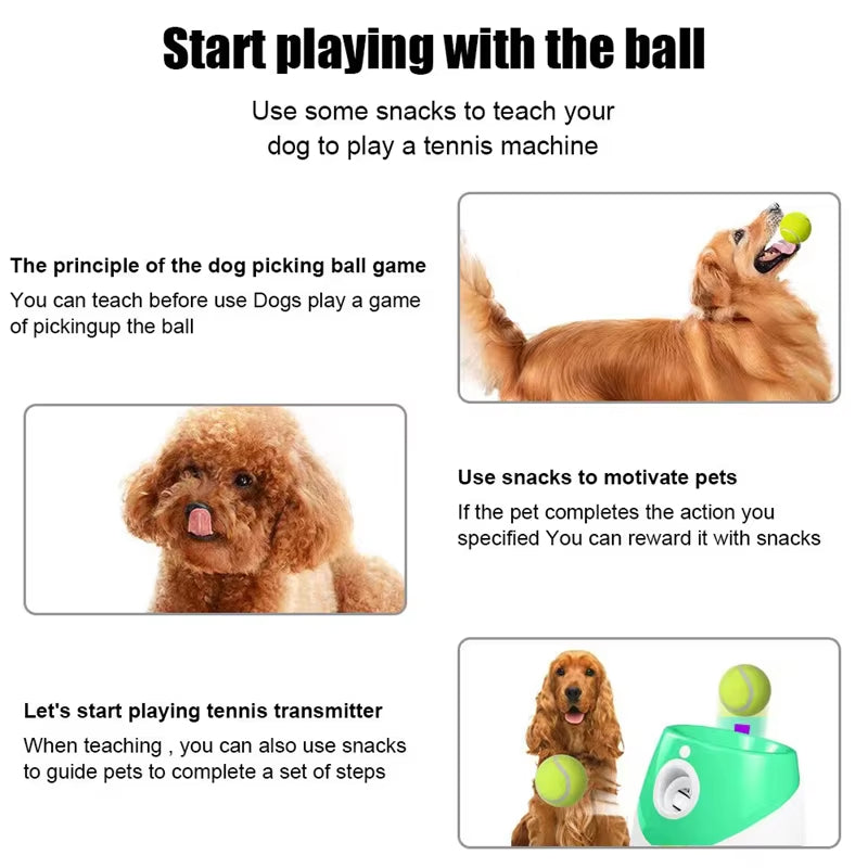 PuppiLob