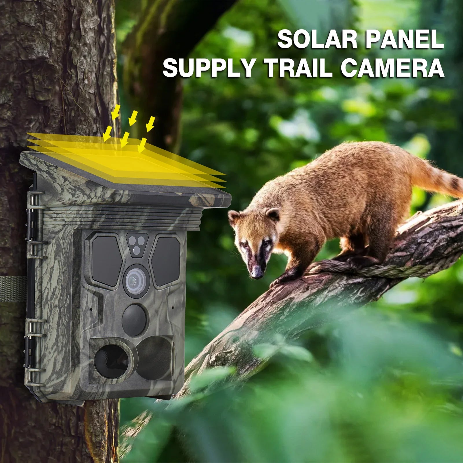 Wildsnap v3